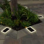 Solar Paver Light Installation Around a Tree