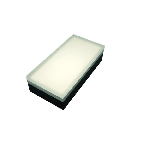 Lumengy 4x8 Inch Glare-Free Brick Paver Light in 5000K Daylight