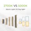 Paver Light 6×9 Inch, 5000K Brick Lighting For Pavers, Driveway, Pathway Patio, & Garden, 12V Waterproof IP67, Drive-Over Rated - Image 4