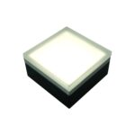Paver Light 4×4 Inch 5000K for Pavers Driveways, Patios & Walkways Waterproof IP67